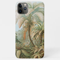 Ferns, Filicinae Laubfarne by Ernst Haeckel