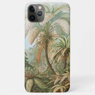 Ferns, Filicinae Laubfarne by Ernst Haeckel iPhone 11 Pro Max Case