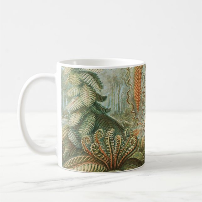Ferns, Filicinae Laubfarne by Ernst Haeckel Coffee Mug (Left)