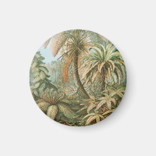 Ferns, Filicinae Laubfarne by Ernst Haeckel Magnet