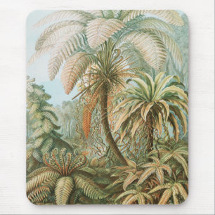 Ferns, Filicinae Laubfarne by Ernst Haeckel Mouse Mat
