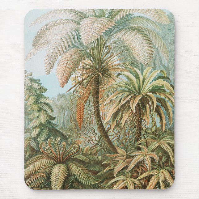 Ferns, Filicinae Laubfarne by Ernst Haeckel Mouse Mat (Front)