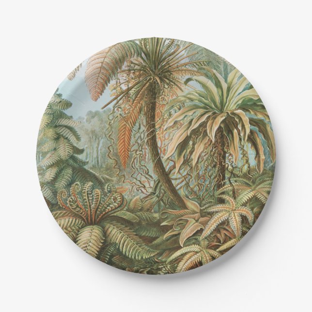 Ferns, Filicinae Laubfarne by Ernst Haeckel Paper Plate (Front)