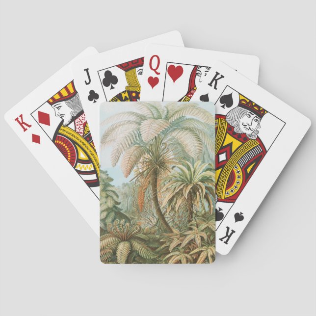 Ferns, Filicinae Laubfarne by Ernst Haeckel Playing Cards (Back)