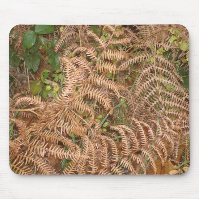 Ferns in Autumn Mouse Mat (Front)