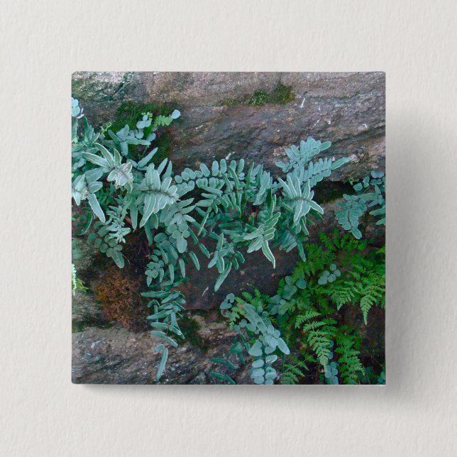 Ferns in Philadelphia 15 Cm Square Badge (Front)