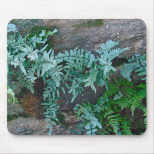 Ferns in Philadelphia Mouse Mat