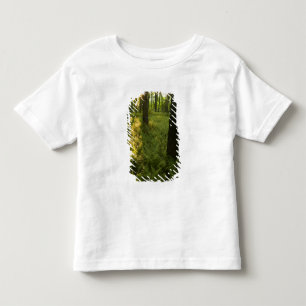 Ferns in the forest in Grafton, Massachusetts. Toddler T-Shirt
