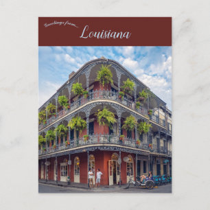 Ferns in the French Quarter New Orleans Louisiana Postcard