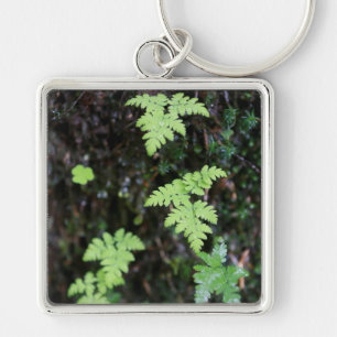 Ferns - key ring