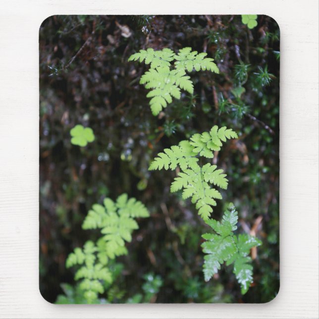 Ferns - mouse mat (Front)