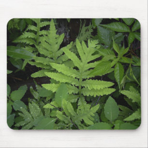 Ferns Mouse Mat