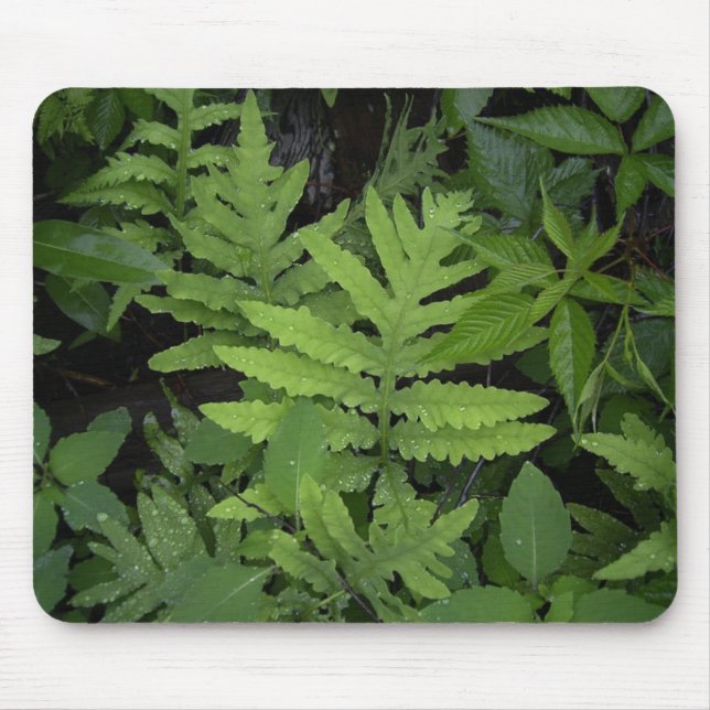 Ferns Mouse Mat (Front)