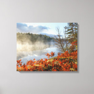 Ferns on Shoreline   Paradise, Michigan Canvas Print