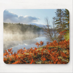 Ferns on Shoreline   Paradise, Michigan Mouse Mat