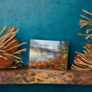 Ferns on Shoreline Paradise, Michigan Plaque