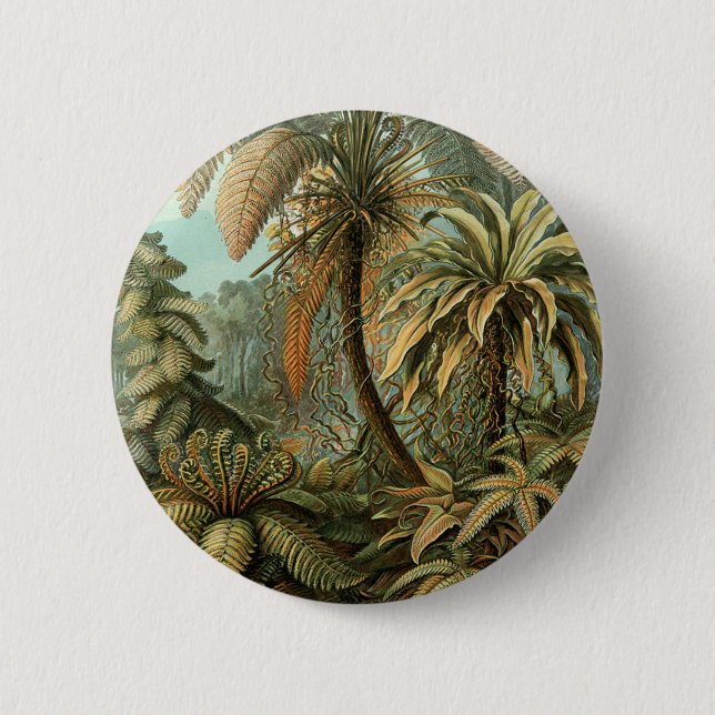 Ferns Palm Tree Antique Botanical Ferns Art 6 Cm Round Badge (Front)