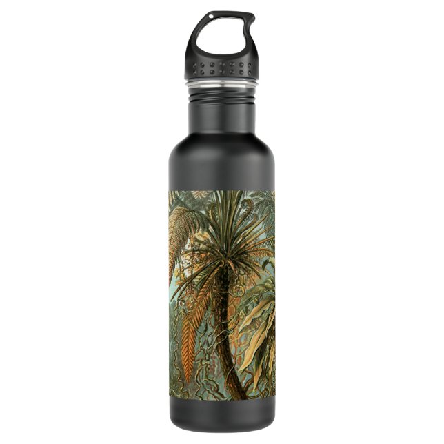 Ferns Palm Tree Antique Botanical Ferns Art 710 Ml Water Bottle (Front)