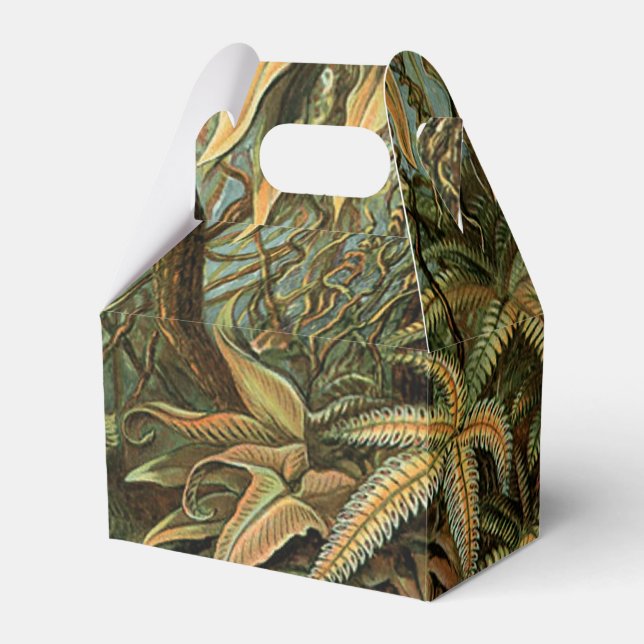 Ferns Palm Tree Antique Botanical Ferns Art Favour Box (Front Side)