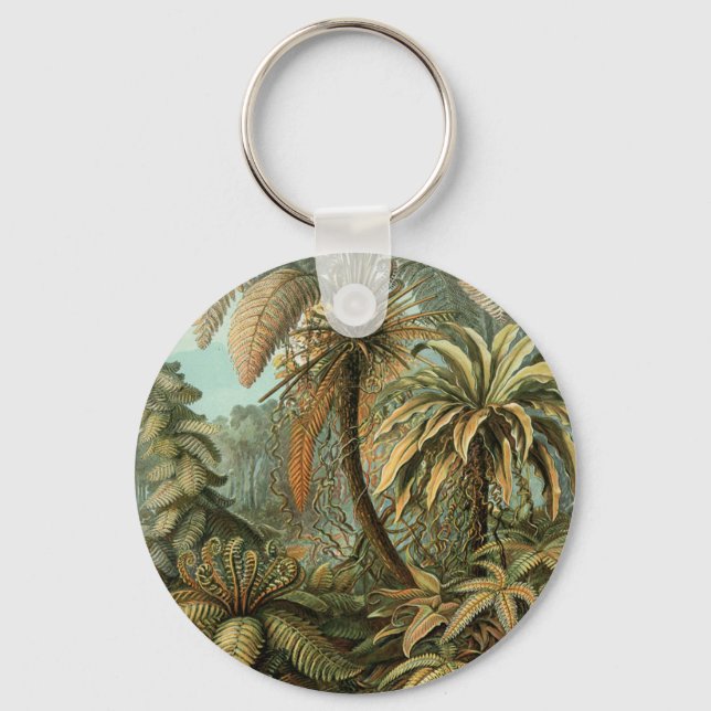 Ferns Palm Tree Antique Botanical Ferns Art Key Ring (Front)