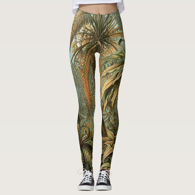 Ferns Palm Tree Antique Botanical Ferns Art Leggings (Front)