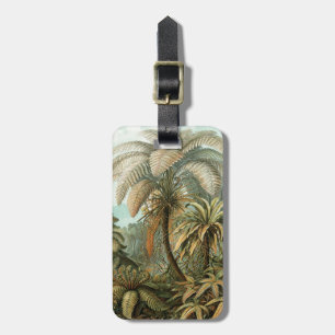 Ferns Palm Tree Antique Botanical Ferns Art Luggage Tag