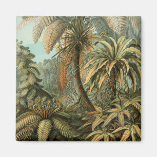 Ferns Palm Tree Antique Botanical Ferns Art Magnet