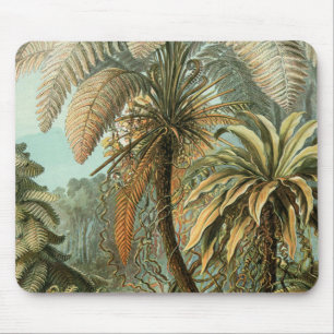 Ferns Palm Tree Antique Botanical Ferns Art Mouse Mat