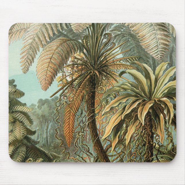 Ferns Palm Tree Antique Botanical Ferns Art Mouse Mat (Front)