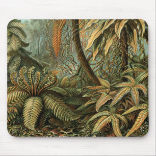 Ferns Palm Tree Antique Botanical Ferns Art Mouse Mat