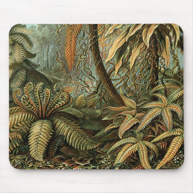 Ferns Palm Tree Antique Botanical Ferns Art Mouse Mat (Front)