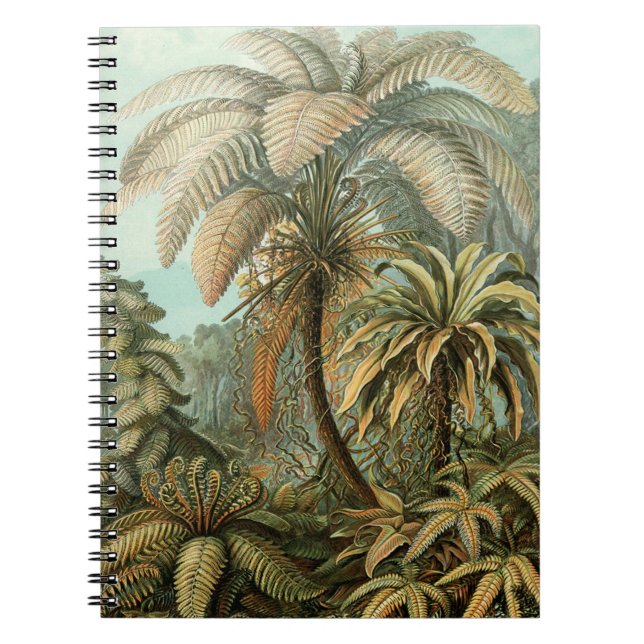 Ferns Palm Tree Antique Botanical Ferns Art Notebook (Front)
