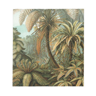 Ferns Palm Tree Antique Botanical Ferns Art Notepad