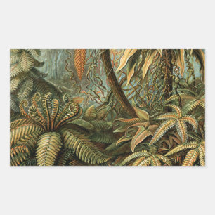 Ferns Palm Tree Antique Botanical Ferns Art Rectangular Sticker