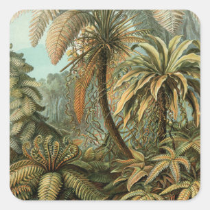 Ferns Palm Tree Antique Botanical Ferns Art Square Sticker
