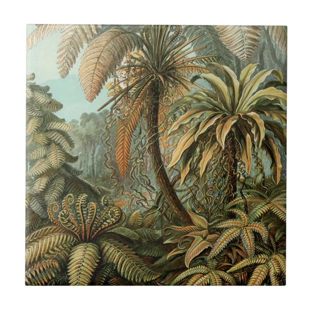 Ferns Palm Tree Antique Botanical Ferns Art Tile (Front)