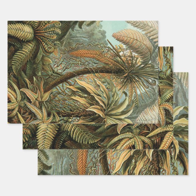 Ferns Palm Tree Antique Botanical Ferns Art Wrapping Paper Sheet (Set)