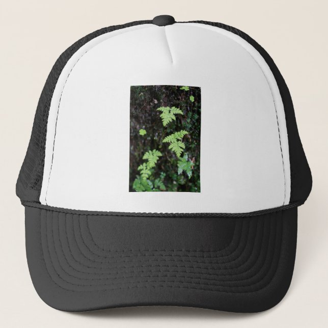 Ferns - trucker hat (Front)