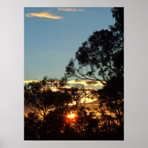 ferntree gully sun twinkle Poster