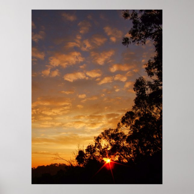 ferntree gully sunset Poster (Front)
