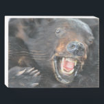 Ferocious Black Bear Wooden Box Sign<br><div class="desc">This wooden box sign features a scary black bear and would be great for your man’s special room or man cave.</div>