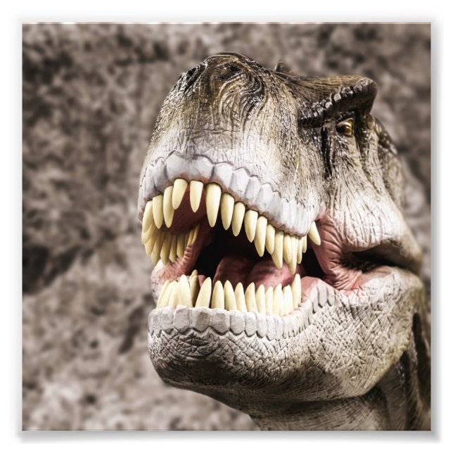 Ferocious T-Rex Head Photo Print (Front)