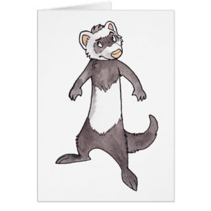 Ferret