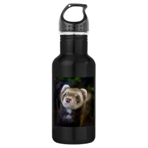 Ferret 532 Ml Water Bottle