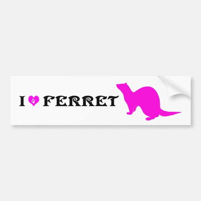 Ferret (5) bumper sticker (Front)