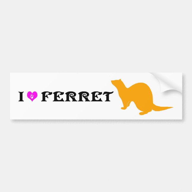 Ferret (5) bumper sticker (Front)