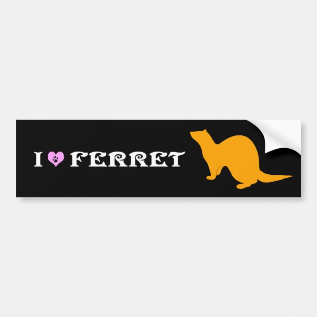 Ferret (5) bumper sticker (Front)