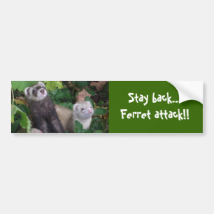 Ferret attack bumper sticker