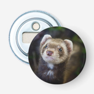 Ferret Bottle Opener