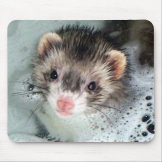 ferret bubble bath mouse mat